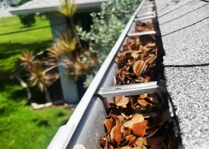 Cedar Crest gutter cleaning home page
